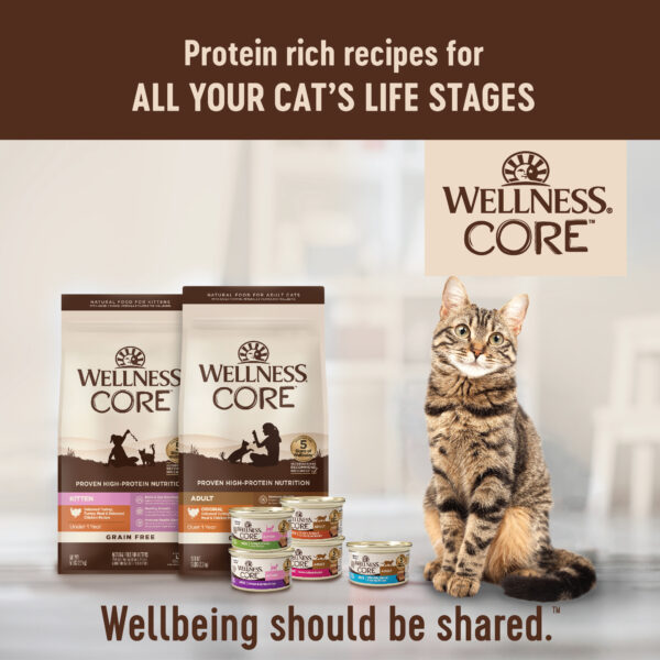 อาหารแมว WELLNESS CORE สูตร Kitten 5lb(2.2 kg) - Image 7