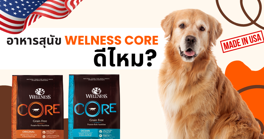 อาหารสุนัข Wellness CORE ดีมั้ย