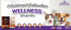 ทำไม พ่อๆ แม่ๆ ถึงจำเป็นต้องเลือก WELLNESS ให้กับลูกๆ สี่ขา