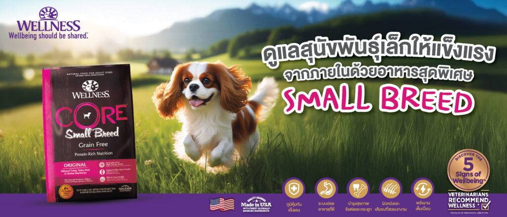 ดูแลสุนัขพันธุ์เล็กของคุณแข็งด้วย Wellness Core สูตร Small Breed 