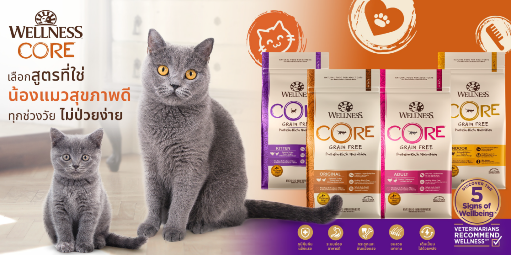 wellness core cat food